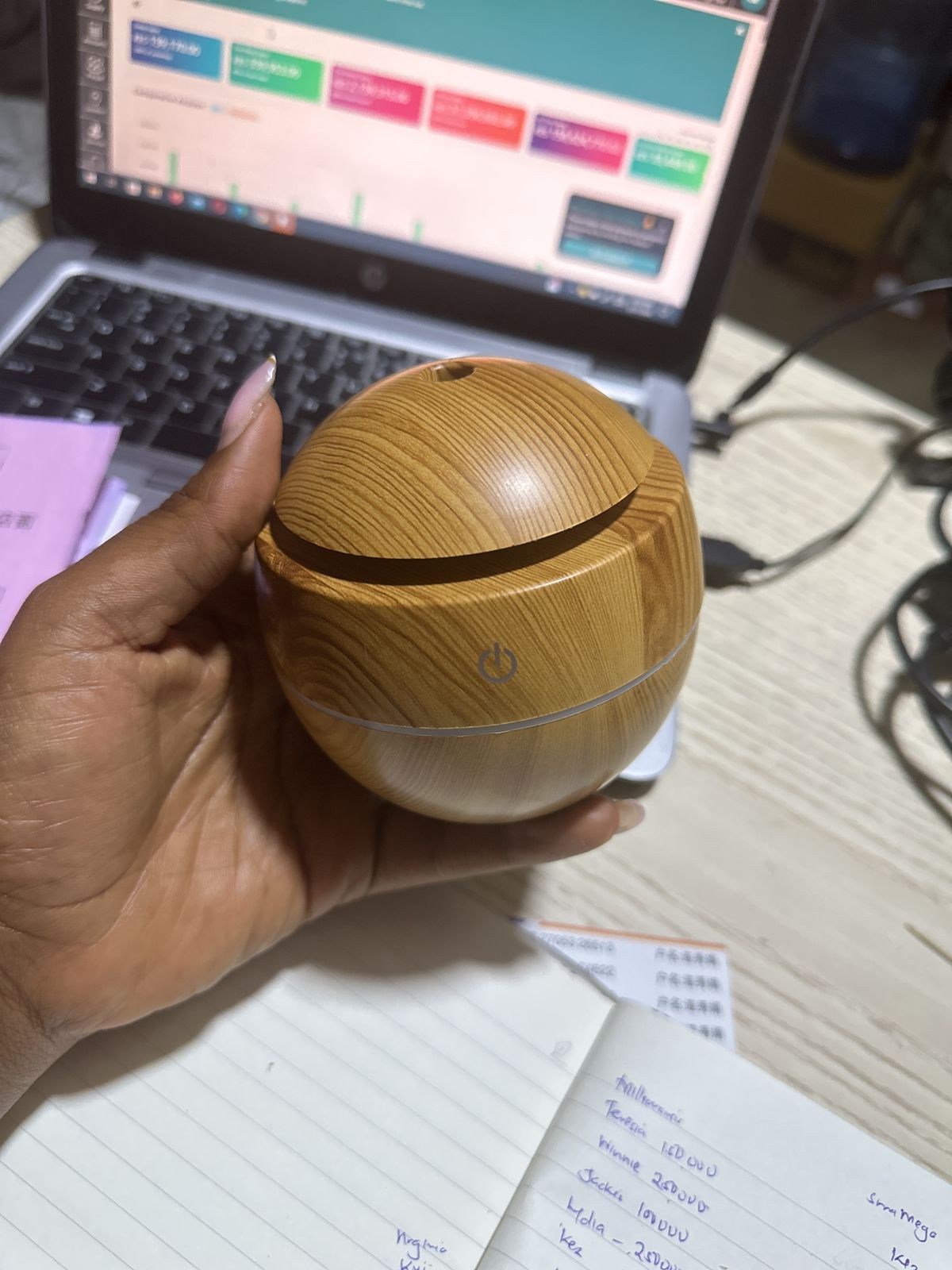 Mushroom Humidifier
