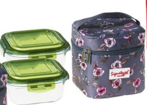 2Pcs Glass Lunch Box With Thermal Bag