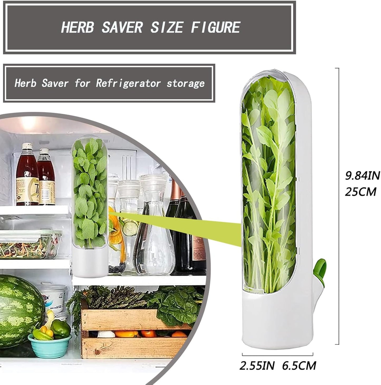 Fresh keeping herbs preservation bottle