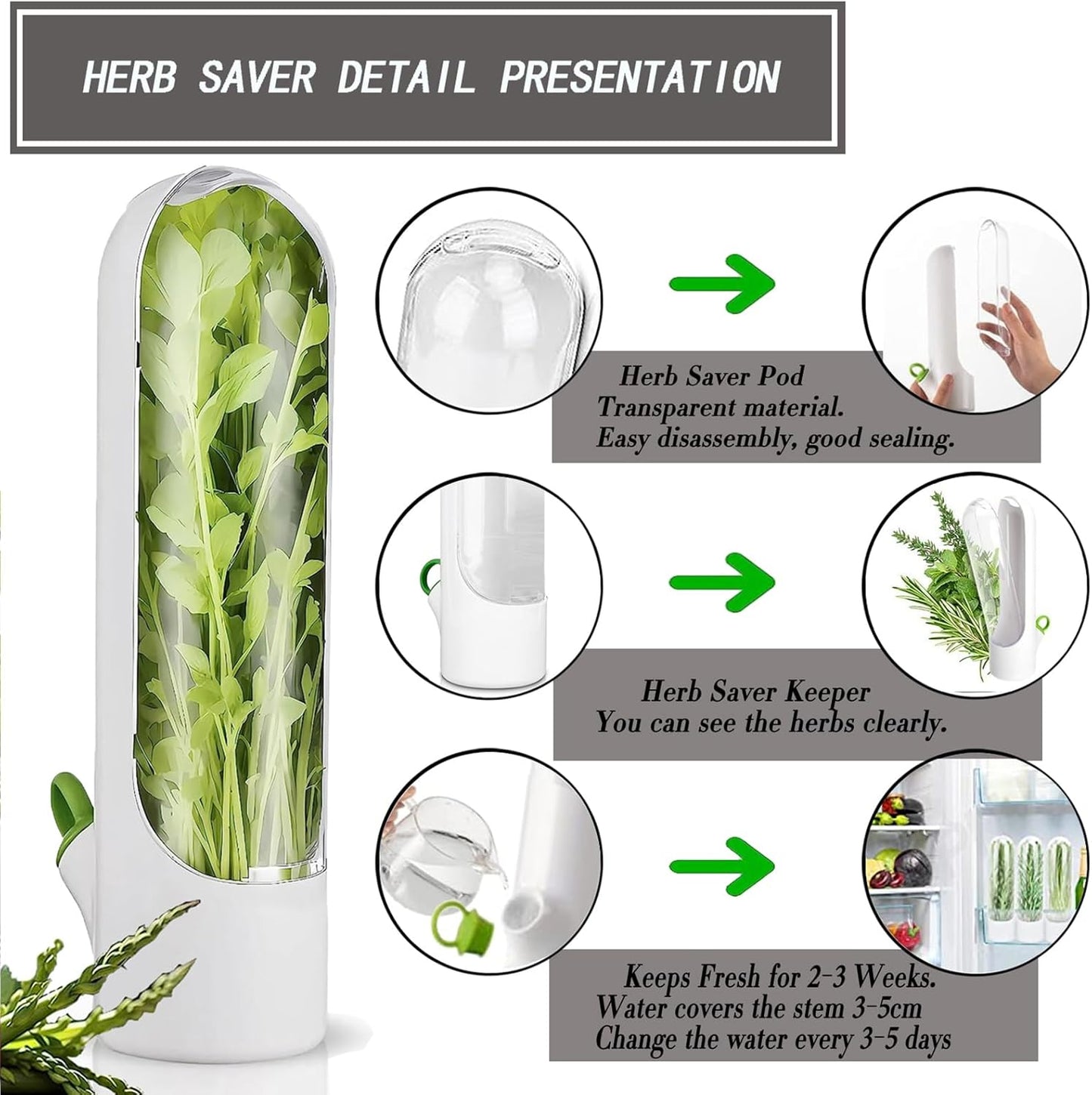 Fresh keeping herbs preservation bottle