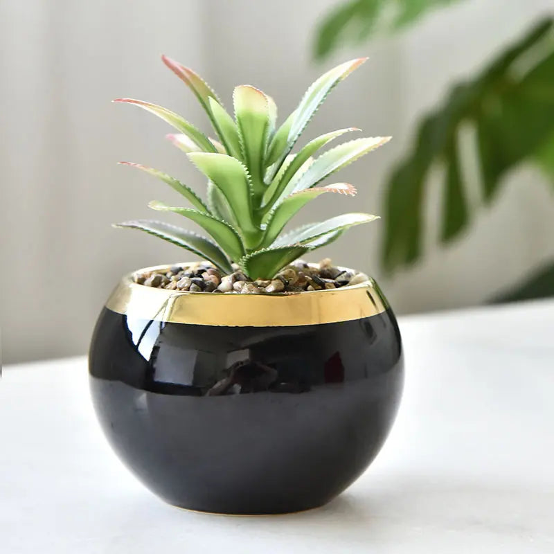 Nordic Succulent Plant Flower Pot