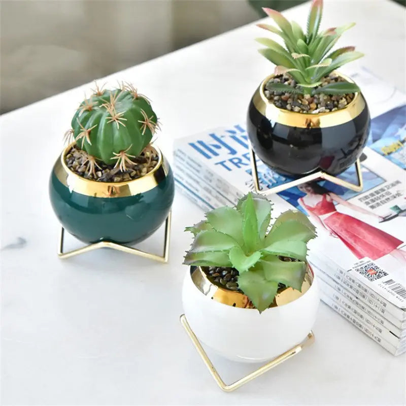 Nordic Succulent Plant Flower Pot