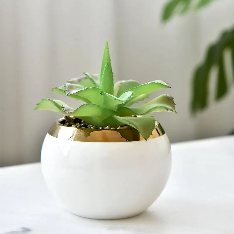 Nordic Succulent Plant Flower Pot