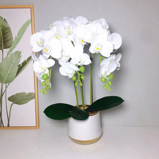 Real Touch Orchid Plant with Ceramic Pot and White Stones